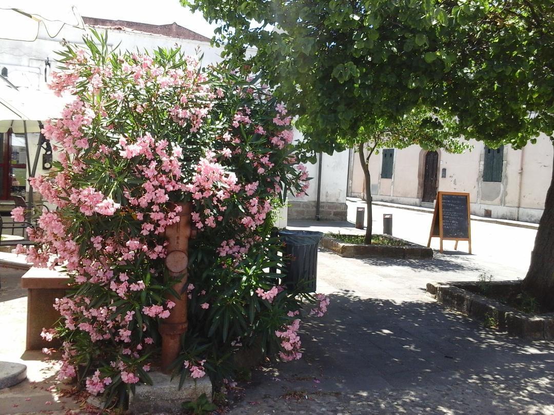 Antica Casa Cristofori Panzió Usini Kültér fotó